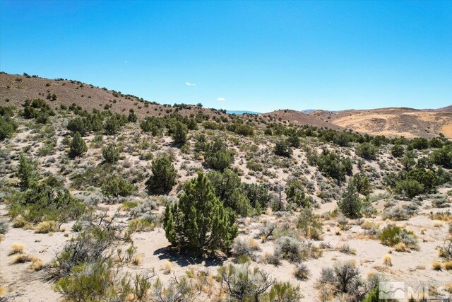 75 Wootton Downs Dr, Sparks, NV 89441 - photo 34