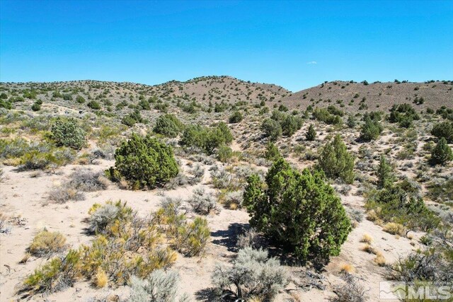 75 Wootton Downs Dr, Sparks, NV 89441 - photo 35