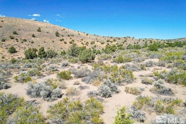 75 Wootton Downs Dr, Sparks, NV 89441 - photo 37