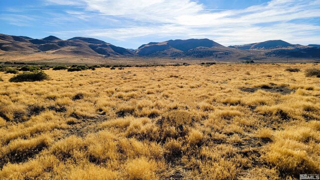 40ACR Sharrock Rd, Sparks, NV 89510