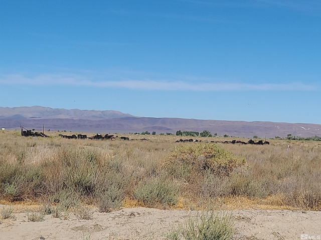 750 Sage, Fallon, NV 89406