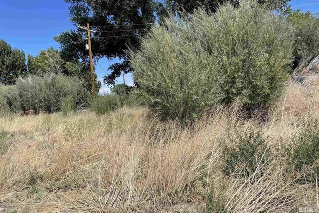 10 Rio Vista Dr, Yerington, NV 89447