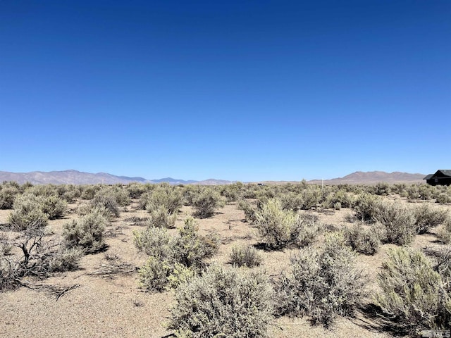 246 Finch Pl, Smith, NV 89430 - photo 1