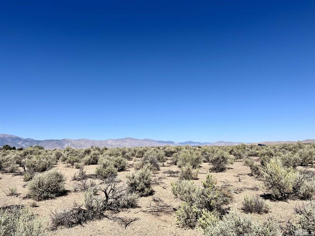 246 Finch Pl, Smith, NV 89430 - photo 3