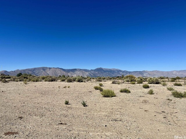 246 Finch Pl, Smith, NV 89430 - photo 4