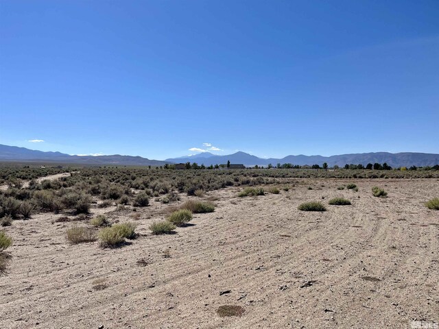 246 Finch Pl, Smith, NV 89430 - photo 5