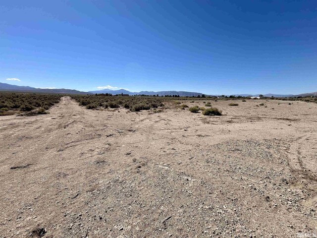 246 Finch Pl, Smith, NV 89430 - photo 6