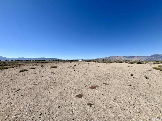 246 Finch Pl, Smith, NV 89430 - photo 7