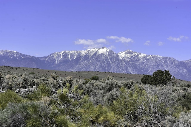TBD Homestead, Gardnerville, NV 89410 - photo 1