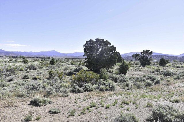 TBD Homestead, Gardnerville, NV 89410 - photo 4