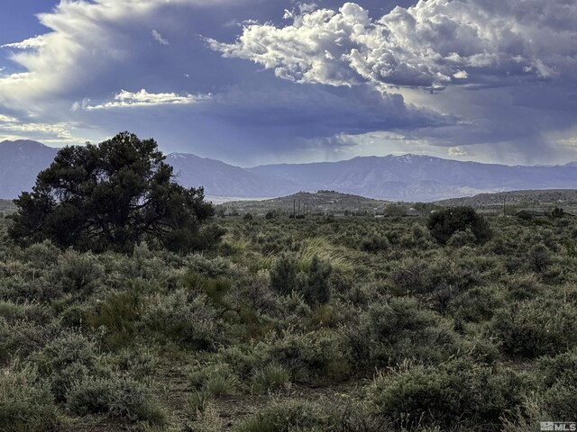 TBD Homestead, Gardnerville, NV 89410 - photo 6