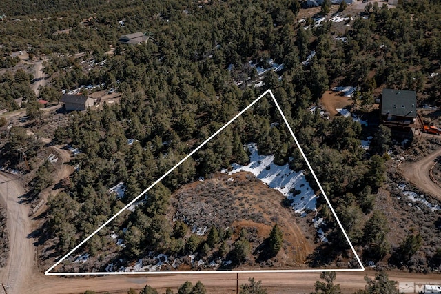 2185 Hermit Rd, Virginia City, NV 89521