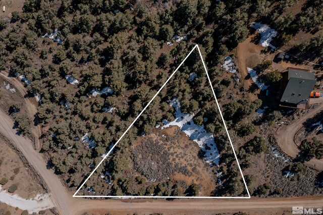 2185 Hermit Rd, Virginia City, NV 89521