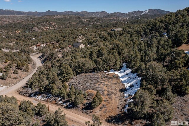2185 Hermit Rd, Virginia City, NV 89521