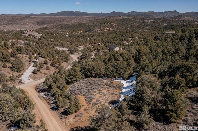 2185 Hermit Rd, Virginia City, NV 89521
