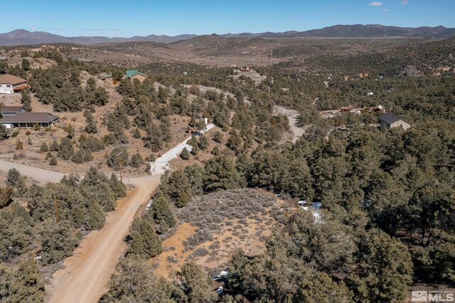 2185 Hermit Rd, Virginia City, NV 89521
