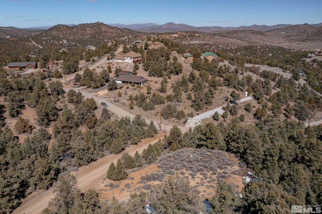 2185 Hermit Rd, Virginia City, NV 89521