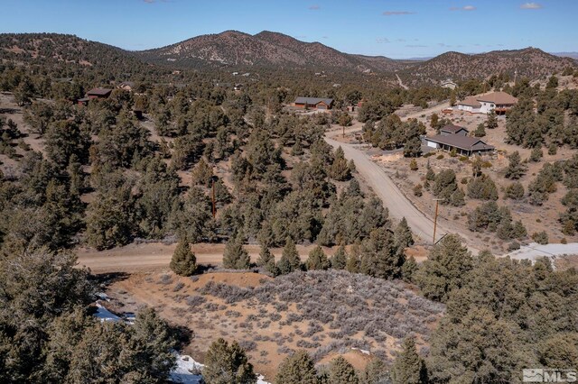 2185 Hermit Rd, Virginia City, NV 89521
