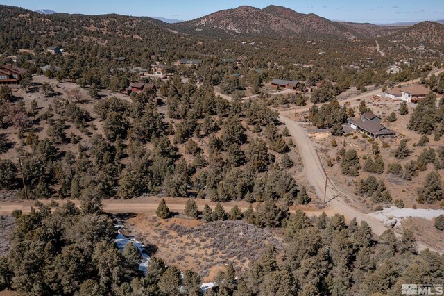 2185 Hermit Rd, Virginia City, NV 89521