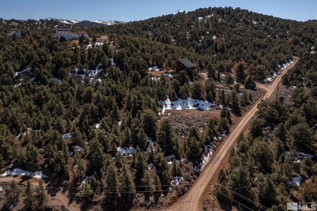 2185 Hermit Rd, Virginia City, NV 89521