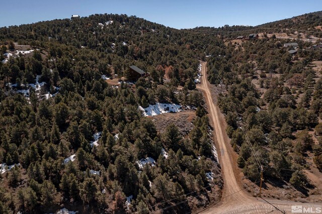2185 Hermit Rd, Virginia City, NV 89521