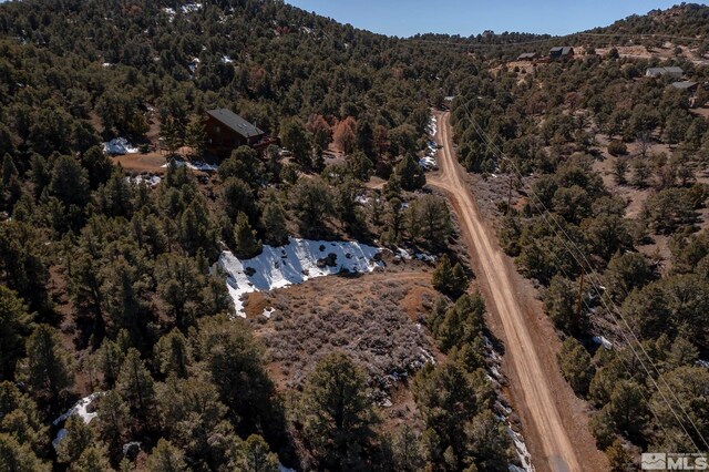 2185 Hermit Rd, Virginia City, NV 89521