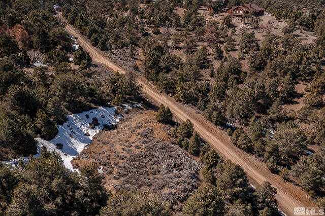 2185 Hermit Rd, Virginia City, NV 89521