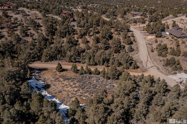 2185 Hermit Rd, Virginia City, NV 89521