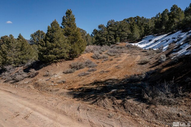 2185 Hermit Rd, Virginia City, NV 89521