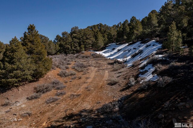 2185 Hermit Rd, Virginia City, NV 89521