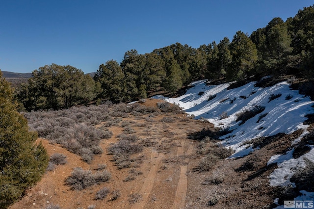 2185 Hermit Rd, Virginia City, NV 89521