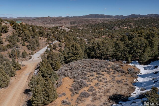 2185 Hermit Rd, Virginia City, NV 89521