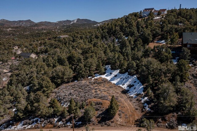 2185 Hermit Rd, Virginia City, NV 89521