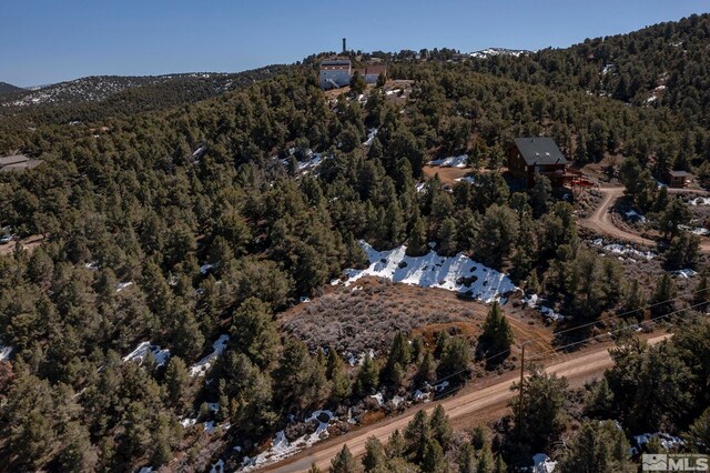 2185 Hermit Rd, Virginia City, NV 89521