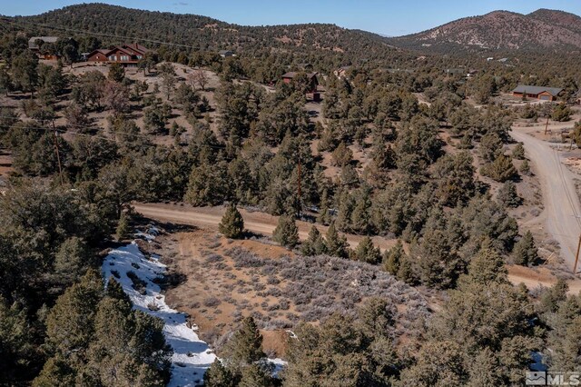 2185 Hermit Rd, Virginia City, NV 89521