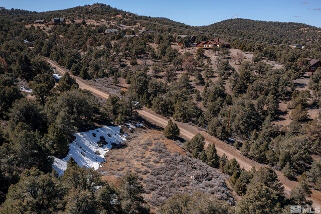 2185 Hermit Rd, Virginia City, NV 89521