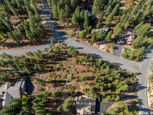 11050 Blue Spruce, Reno, NV 89511 - photo 7