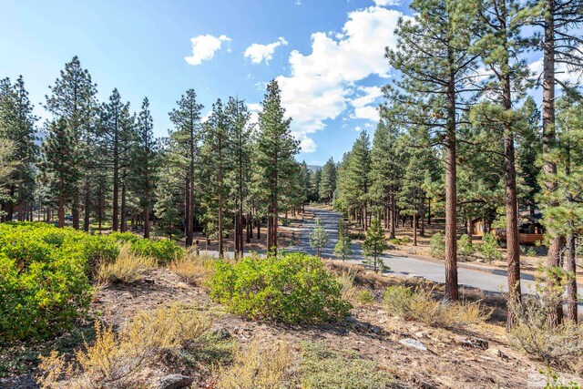 11050 Blue Spruce, Reno, NV 89511 - photo 10