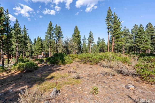 11050 Blue Spruce, Reno, NV 89511 - photo 13