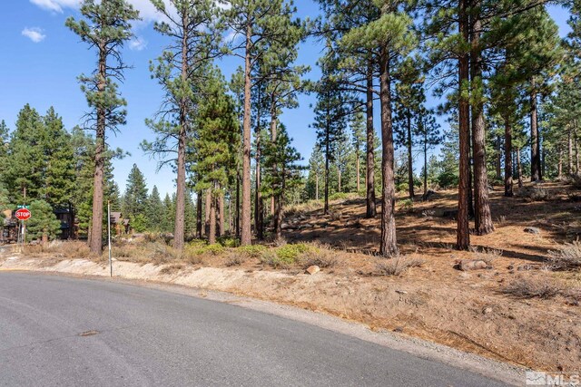 11050 Blue Spruce, Reno, NV 89511 - photo 14
