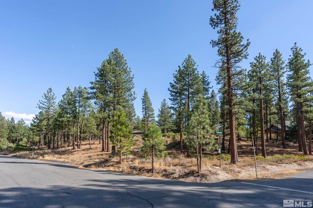 11050 Blue Spruce, Reno, NV 89511 - photo 16