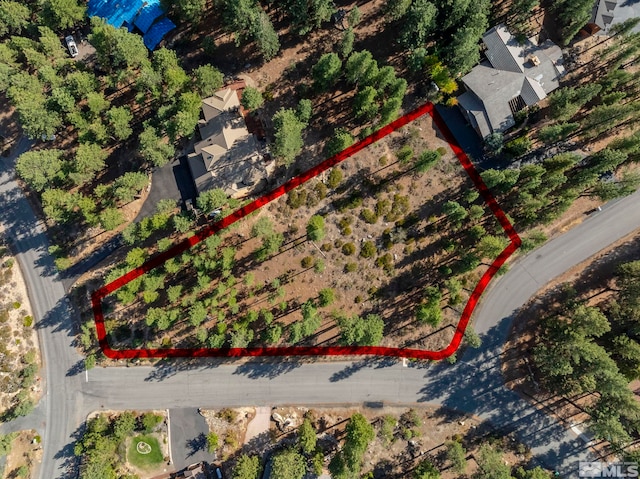 11050 Blue Spruce, Reno, NV 89511 - photo 17