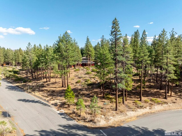 11050 Blue Spruce, Reno, NV 89511 - photo 18