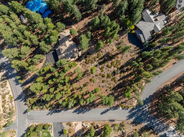 11050 Blue Spruce, Reno, NV 89511 - photo 20