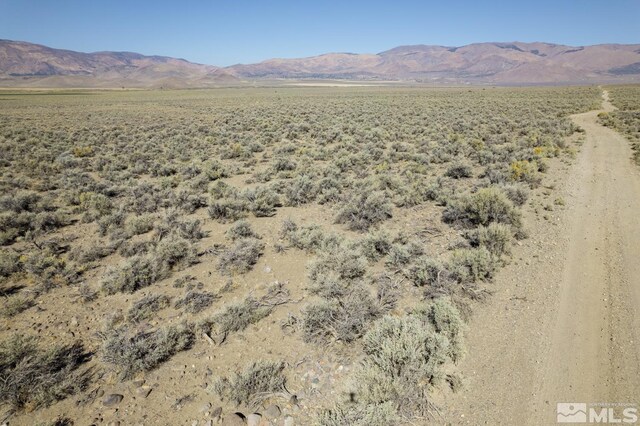 005 Eastside Ln, Topaz, NV 89410 - photo 7