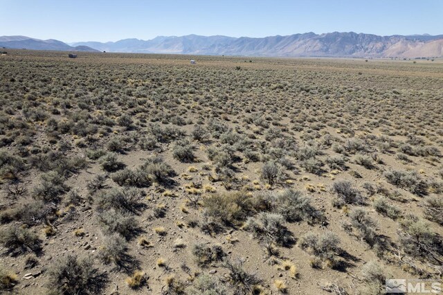 005 Eastside Ln, Topaz, NV 89410 - photo 8