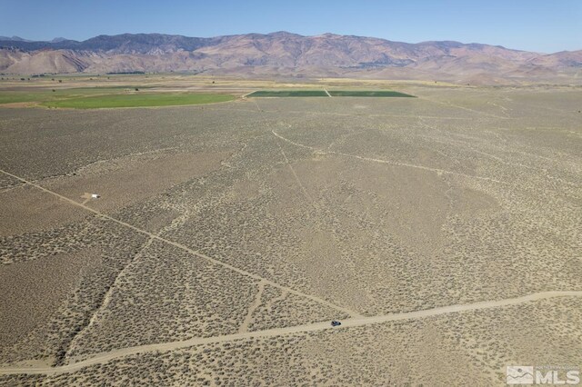 005 Eastside Ln, Topaz, NV 89410 - photo 10