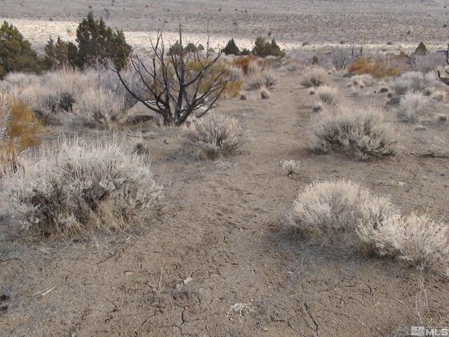 1265 Freds Mountain Rd, Reno, NV 89508 - photo 5