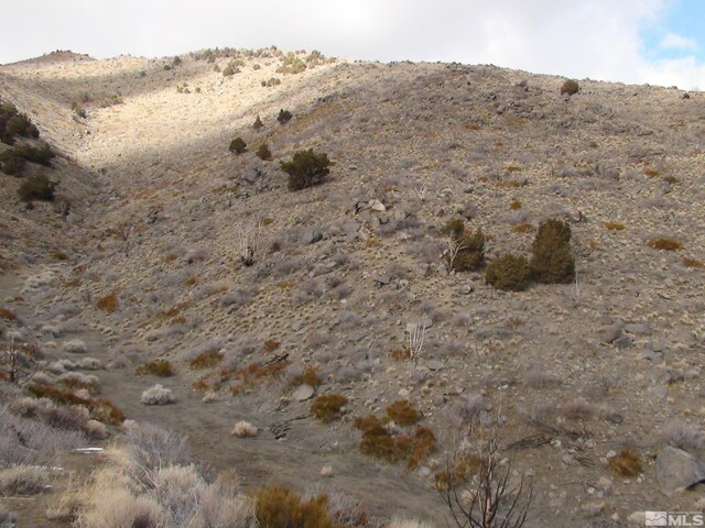1265 Freds Mountain Rd, Reno, NV 89508 - photo 6