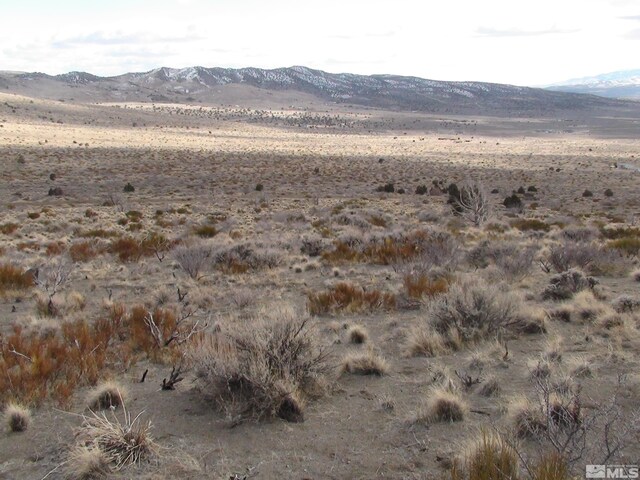 1265 Freds Mountain Rd, Reno, NV 89508 - photo 7